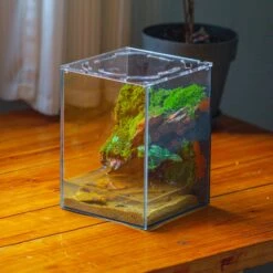 Watertight Glass Terrarium With LED Grow Light, Acrylic Lid For Moss Wall, Vertical Planting -15x15x20cm / 5.9x5.9x7.8 -Ncyp Garden Sale Shop IMG 5625 2 e9f9f1ad 8038 4072 af53 74744c59487b