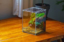 Watertight Glass Terrarium With LED Grow Light, Acrylic Lid For Moss Wall, Vertical Planting -15x15x20cm / 5.9x5.9x7.8 -Ncyp Garden Sale Shop IMG 5625 52888afe bd33 4c98 9d03 cf8df26dbf04