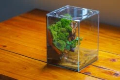 Watertight Glass Terrarium With LED Grow Light, Acrylic Lid For Moss Wall, Vertical Planting -15x15x20cm / 5.9x5.9x7.8 -Ncyp Garden Sale Shop IMG 5626 679cbfa8 0b85 4d19 898a d270ffa8a8d6