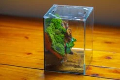 Watertight Glass Terrarium With LED Grow Light, Acrylic Lid For Moss Wall, Vertical Planting -15x15x20cm / 5.9x5.9x7.8 -Ncyp Garden Sale Shop IMG 5627 342afd39 5319 496f 8843 88b5bd60bac7