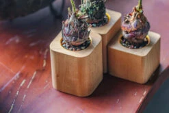 Natural Beech Wood With Inner Alloy Pot Planter, For Hydroponic, Small Plants, Air Plants -Ncyp Garden Sale Shop IMG 5666