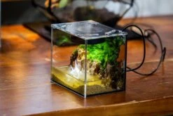 Watertight Glass Terrarium With LED Grow Light, Acrylic Lid For Moss Wall, Vertical Planting -15x11x13cm / 5.9x4.3x5.1'' -Ncyp Garden Sale Shop IMG 5687 7a9bfa9f 21b5 48e2 9f8e 9e141ec6a89d