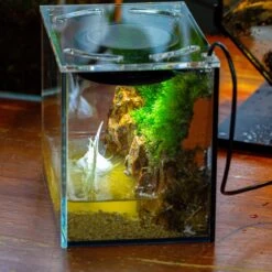 Watertight Glass Terrarium With LED Grow Light, Acrylic Lid For Moss Wall, Vertical Planting -15x11x13cm / 5.9x4.3x5.1''