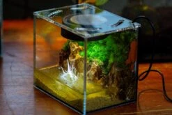 Watertight Glass Terrarium With LED Grow Light, Acrylic Lid For Moss Wall, Vertical Planting -15x11x13cm / 5.9x4.3x5.1'' -Ncyp Garden Sale Shop IMG 5698