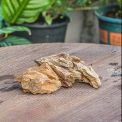 5-12cm Natural Ohko Dragon Stone Rock For Terrarium, Aquarium Bonsai Landscape, 500g -Ncyp Garden Sale Shop IMG 5802