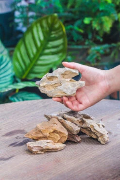 5-12cm Natural Ohko Dragon Stone Rock For Terrarium, Aquarium Bonsai Landscape, 500g -Ncyp Garden Sale Shop IMG 5804