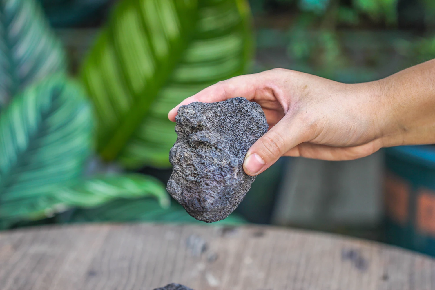 5-8cm Black Horticultural Lava Rock Volcanic Rock For Terrarium, Bonsai Landscape, 500g 4 5-8cm Black Horticultural Lava Rock Volcanic Rock For Terrarium, Bonsai Landscape, 500g - Image 4