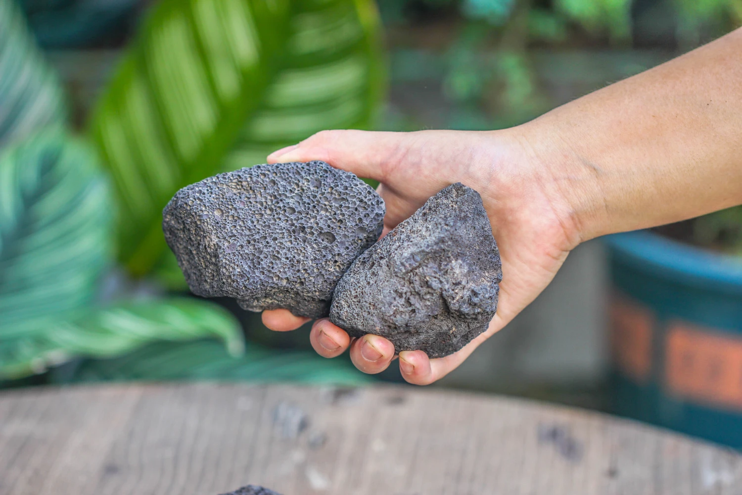 5-8cm Black Horticultural Lava Rock Volcanic Rock For Terrarium, Bonsai Landscape, 500g 11 5-8cm Black Horticultural Lava Rock Volcanic Rock For Terrarium, Bonsai Landscape, 500g - Image 11
