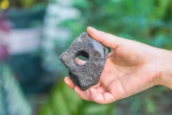 5-8cm Black Horticultural Lava Rock Volcanic Rock For Terrarium, Bonsai Landscape, 500g 16 5-8cm Black Horticultural Lava Rock Volcanic Rock For Terrarium, Bonsai Landscape, 500g -Ncyp Garden Sale Shop IMG 5887