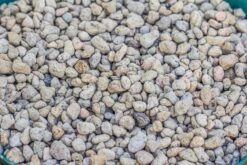 Grey White Horticultural Lava Rock Volcanic Rock -Ncyp Garden Sale Shop IMG 5989