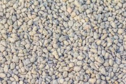 Grey White Horticultural Lava Rock Volcanic Rock -Ncyp Garden Sale Shop IMG 5992