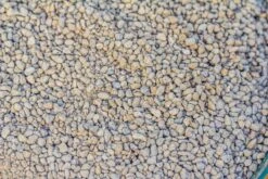 Grey White Horticultural Lava Rock Volcanic Rock -Ncyp Garden Sale Shop IMG 5994