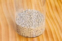 Grey White Horticultural Lava Rock Volcanic Rock -Ncyp Garden Sale Shop IMG 5998