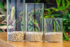 Grey White Horticultural Lava Rock Volcanic Rock -Ncyp Garden Sale Shop IMG 6004