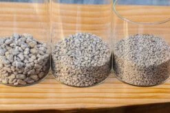 Grey White Horticultural Lava Rock Volcanic Rock -Ncyp Garden Sale Shop IMG 6008