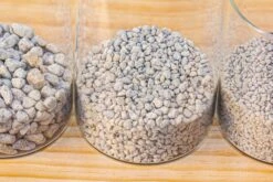 Grey White Horticultural Lava Rock Volcanic Rock -Ncyp Garden Sale Shop IMG 6010