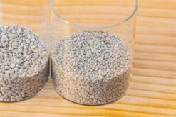 Grey White Horticultural Lava Rock Volcanic Rock -Ncyp Garden Sale Shop IMG 6011