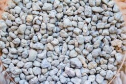 Glass Tank With Lid Grow Light DIY Set For Moss And Flytrap, Sundew 15 Glass Tank With Lid Grow Light DIY Set For Moss And Flytrap, Sundew -Ncyp Garden Sale Shop IMG 6022