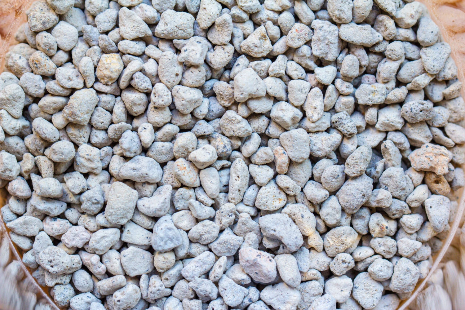 Glass Tank With Lid Grow Light DIY Set For Moss And Flytrap, Sundew 5 Glass Tank With Lid Grow Light DIY Set For Moss And Flytrap, Sundew - Image 5