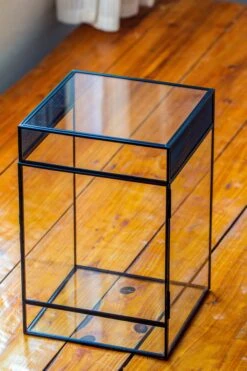 8x8x12 Inches Large Handmade Glass Geometric Terrarium With Side Vent, For Large Insects -Ncyp Garden Sale Shop IMG 6025