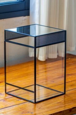 8x8x12 Inches Large Handmade Glass Geometric Terrarium With Side Vent, For Large Insects -Ncyp Garden Sale Shop IMG 6027