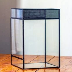 8x8x12 Inches Large Handmade Glass Geometric Terrarium With Side Vent, For Large Insects -Ncyp Garden Sale Shop IMG 6029 2