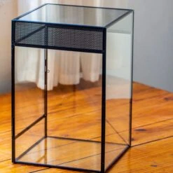 8x8x12 Inches Large Handmade Glass Geometric Terrarium With Side Vent, For Large Insects -Ncyp Garden Sale Shop IMG 6032 2