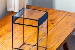 8x8x12 Inches Large Handmade Glass Geometric Terrarium With Side Vent, For Large Insects -Ncyp Garden Sale Shop IMG 6035