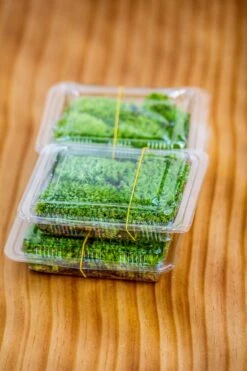 20x30cm Multiple Pieces Live Dry Leucobryum Moss, Cushion Moss Will Regreen, For Terrarium, Micro Landscape -Ncyp Garden Sale Shop IMG 6058