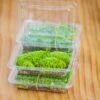 20x30cm Multiple Pieces Live Dry Leucobryum Moss, Cushion Moss Will Regreen, For Terrarium, Micro Landscape