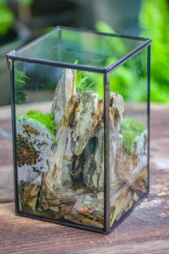 5-12cm Natural Ohko Dragon Stone Rock For Terrarium, Aquarium Bonsai Landscape, 500g -Ncyp Garden Sale Shop IMG 6188