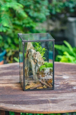 5-12cm Natural Ohko Dragon Stone Rock For Terrarium, Aquarium Bonsai Landscape, 500g -Ncyp Garden Sale Shop IMG 6189