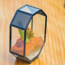 Mini 5x7 Inches Octagon Shape Glass Geometric Terrarium Enclosure With Side Vent For Small Insect, Jumping Spider -Ncyp Garden Sale Shop IMG 6193 3