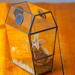 Coffin-Shaped Tin Glass Terrarium Enclosure, Gothic Style, For Jumping Spider, Insects, Snails -Ncyp Garden Sale Shop IMG 6195 2