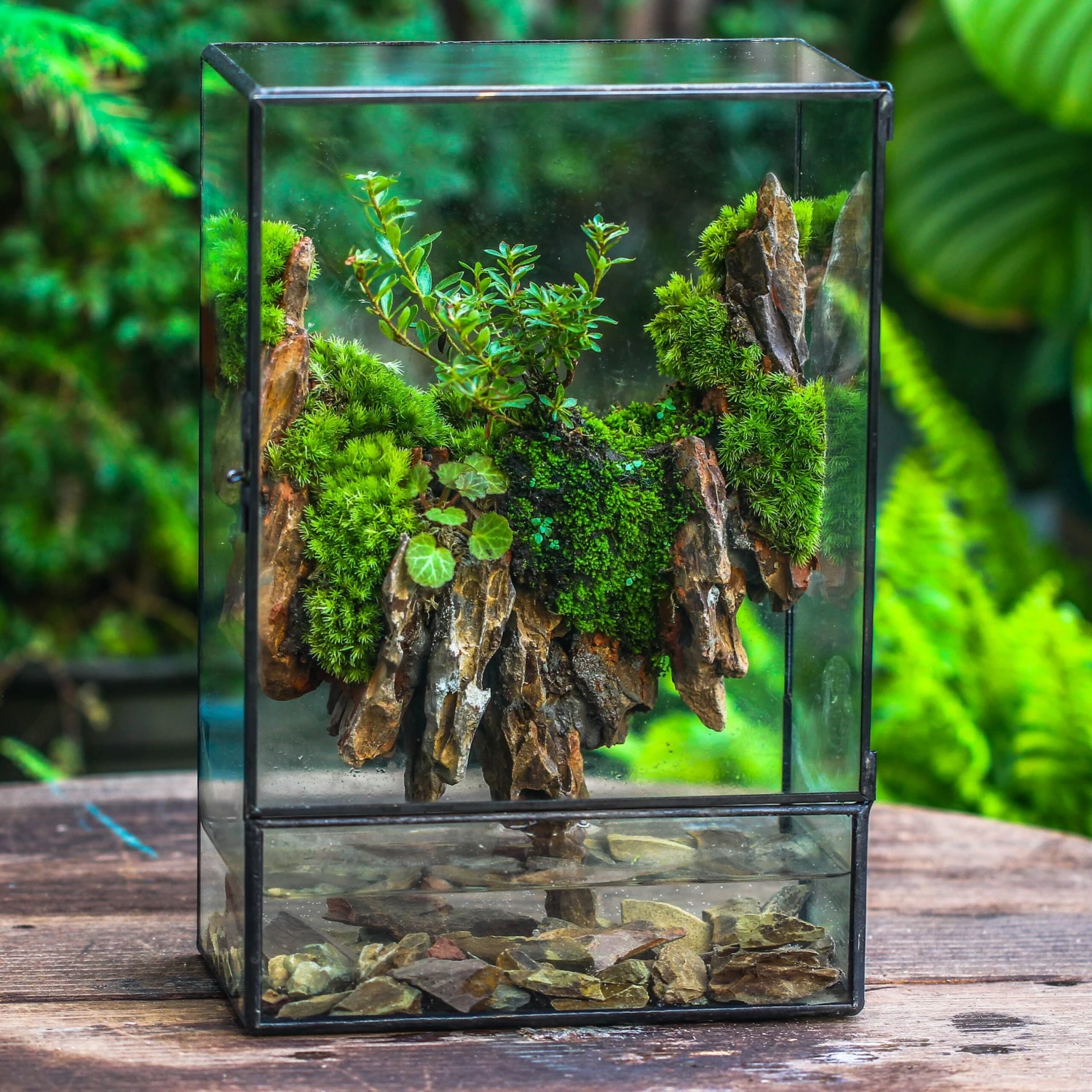 Close Geometric Glass Tin Terrarium , Watertight, 8x12" Container For Moss Wall, Fern, Landscape Waterpond, 8x12", No Plants Customizable 2 Close Geometric Glass Tin Terrarium , Watertight, 8x12" Container For Moss Wall, Fern, Landscape Waterpond, 8x12", No Plants Customizable - Image 2