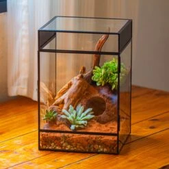 8x8x12 Inches Large Handmade Glass Geometric Terrarium With Side Vent, For Large Insects -Ncyp Garden Sale Shop IMG 6211 2