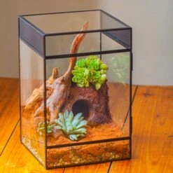8x8x12 Inches Large Handmade Glass Geometric Terrarium With Side Vent, For Large Insects -Ncyp Garden Sale Shop IMG 6214 2