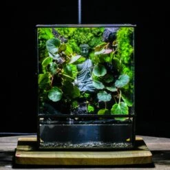 Close Geometric Glass Tin Terrarium , Watertight, 8x10" Container For Moss Wall, Fern, Landscape Waterpond, No Plants, Customizable