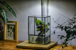 Close Geometric Glass Tin Terrarium , Watertight, 8x10" Container For Moss Wall, Fern, Landscape Waterpond, No Plants -Ncyp Garden Sale Shop IMG 6370