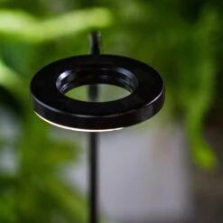 NCYP Customizable Tabletop Natural Wood Round Board LED Grow Display Light Indoor 10W For Terrarium Succulent Fern Bonsai Moss -30cm 13 NCYP Customizable Tabletop Natural Wood Round Board LED Grow Display Light Indoor 10W For Terrarium Succulent Fern Bonsai Moss -30cm -Ncyp Garden Sale Shop IMG 6481