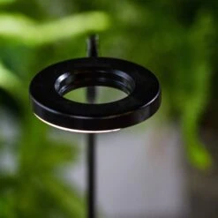 NCYP Customizable Tabletop Natural Wood Round Board LED Grow Display Light Indoor 10W For Terrarium Succulent Fern Bonsai Moss -35cm -Ncyp Garden Sale Shop IMG 6481 305b9ee3 ac00 4a4a a0f4 75b25344f4f2