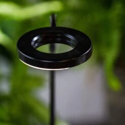 NCYP Customizable Tabletop Natural Wood Round Board LED Grow Display Light Indoor 10W For Terrarium Succulent Fern Bonsai Moss -40cm 15 NCYP Customizable Tabletop Natural Wood Round Board LED Grow Display Light Indoor 10W For Terrarium Succulent Fern Bonsai Moss -40cm -Ncyp Garden Sale Shop IMG 6481 7946bd27 ef78 4883 a406 770410369fc7