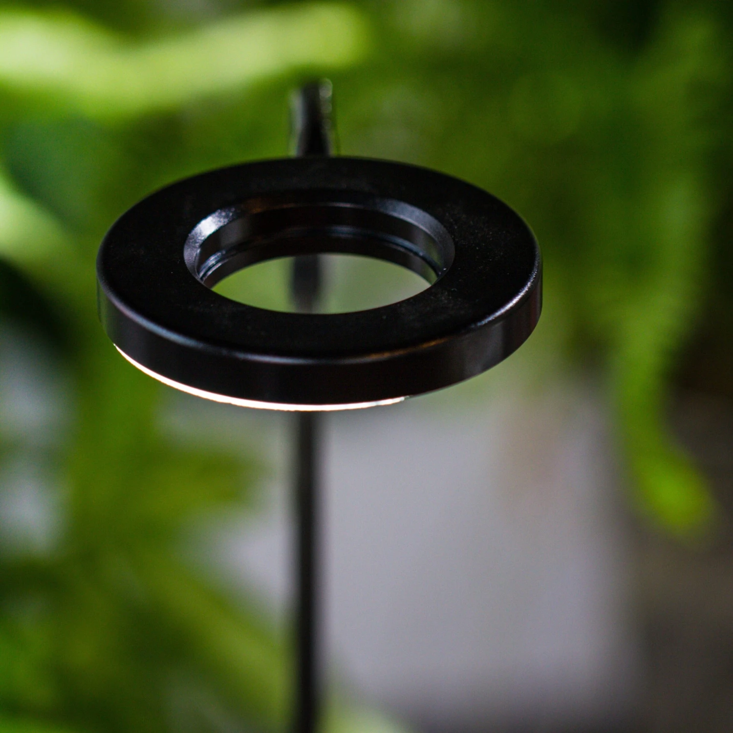 NCYP Customizable Tabletop Natural Wood Round Board LED Grow Display Light Indoor 10W For Terrarium Succulent Fern Bonsai Moss -40cm 5 NCYP Customizable Tabletop Natural Wood Round Board LED Grow Display Light Indoor 10W For Terrarium Succulent Fern Bonsai Moss -40cm - Image 5