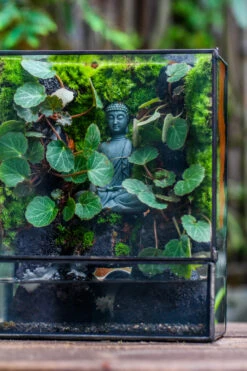 Close Geometric Glass Tin Terrarium , Watertight, 8x10" Container For Moss Wall, Fern, Landscape Waterpond, No Plants, Customizable -Ncyp Garden Sale Shop IMG 6581