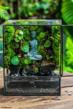 Close Geometric Glass Tin Terrarium , Watertight, 8x10" Container For Moss Wall, Fern, Landscape Waterpond, No Plants, Customizable -Ncyp Garden Sale Shop IMG 6587