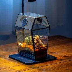 Coffin-Shaped Tin Glass Terrarium Enclosure, Gothic Style, For Jumping Spider, Insects, Snails -Ncyp Garden Sale Shop IMG 6715 2