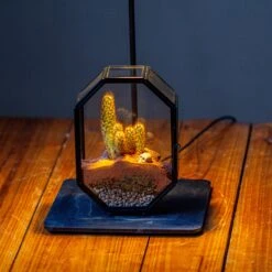 Mini 5x7 Inches Octagon Shape Glass Geometric Terrarium Enclosure With Side Vent For Small Insect, Jumping Spider -Ncyp Garden Sale Shop IMG 6723 2