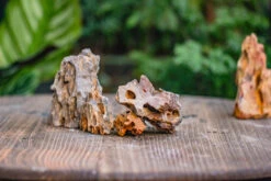 2-6" / 5-15cm Cutted Flat Bottom Natural Ohko Dragon Stone Rock For Terrarium, Aquarium Bonsai Landscape, 2kg/4.4lb, With DIY Tools -Ncyp Garden Sale Shop IMG 6737