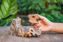 2-6" / 5-15cm Cutted Flat Bottom Natural Ohko Dragon Stone Rock For Terrarium, Aquarium Bonsai Landscape, 2kg/4.4lb, With DIY Tools -Ncyp Garden Sale Shop IMG 6738