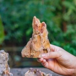 2-6" / 5-15cm Cutted Flat Bottom Natural Ohko Dragon Stone Rock For Terrarium, Aquarium Bonsai Landscape, 2kg/4.4lb, With DIY Tools